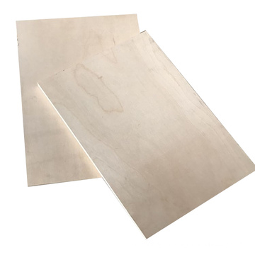 high quality maple face plywood for America market